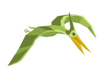 Dinosaur_Pteranodon animation dinosaur flat icon illustration info graphic polygone polygone art vector vector art