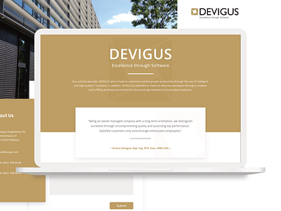 Devigus Web Design engineering rozzaq software software company software development ui ux web workplace