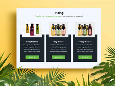 Pricing Section Design design minimal ui ux web website