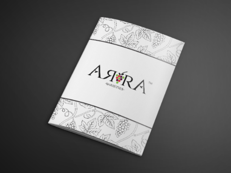 Grape varieties brochure agriculture photoshop illustrator indesign giveaways graphic design booklet print