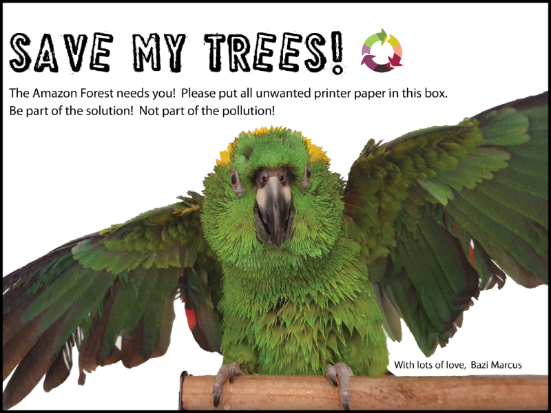 Recycle! wildlife indesign recycle photoshop office signs
