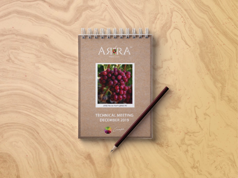 Palm notebook, red grapes indesign photoshop swag print