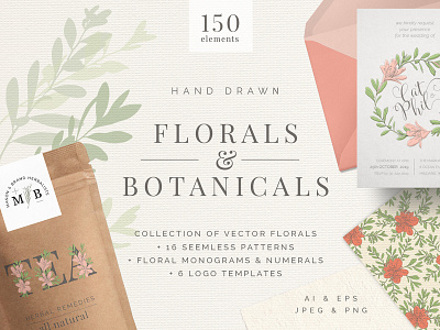 Hand Drawn Florals And Leaves