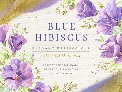 Blue Hibiscus Watercolour with Gold accent clip art creative market design digital download elegant floral floral design hand drawn illustration invitation packaging stationary wedding