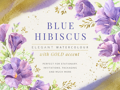 Blue Hibiscus Watercolour with Gold accent