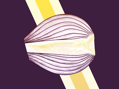 Onion