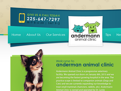 Andermann Animal Clinic animals design vet website