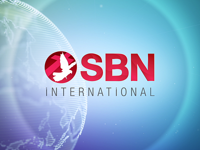 SBN International ID