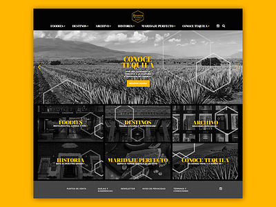 Reserva Site digital mexico reserva site tequila ui ux web website