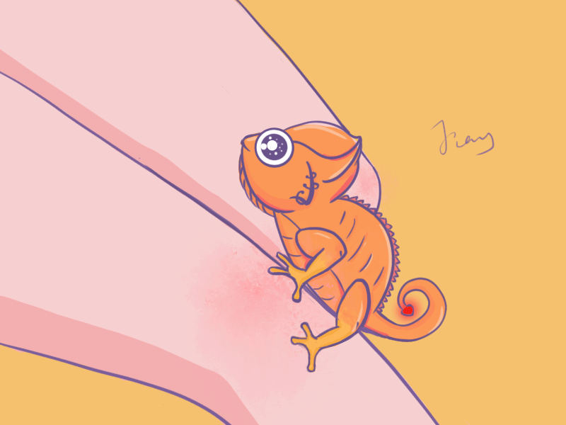 cute chameleon after effect animation chameleon cute cute animals design illustration