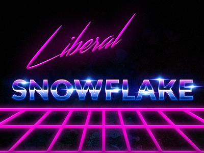 Liberal Snowflake abstract art design political typography