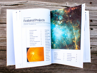 Into the Zooniverse! book design eye layout print print design printing space type typography