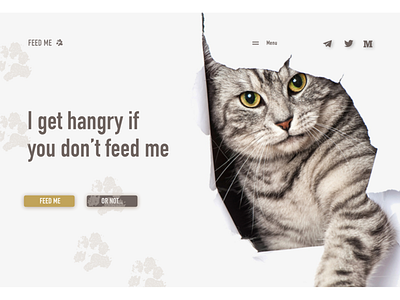 Cat Attack Landing Page design fun illustration landing page landing page design sketch ui