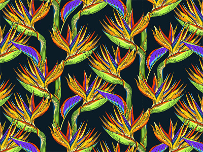 Bird of Paradise pattern birdofparadise colorful design drawing floral flower illustration pattern surface tropicalflower vector
