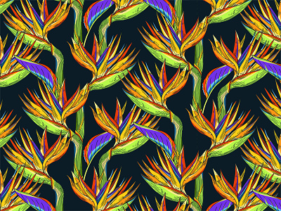 Bird of Paradise pattern