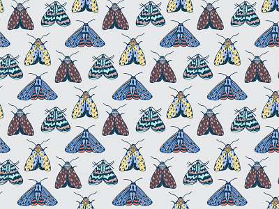 Moth Pattern