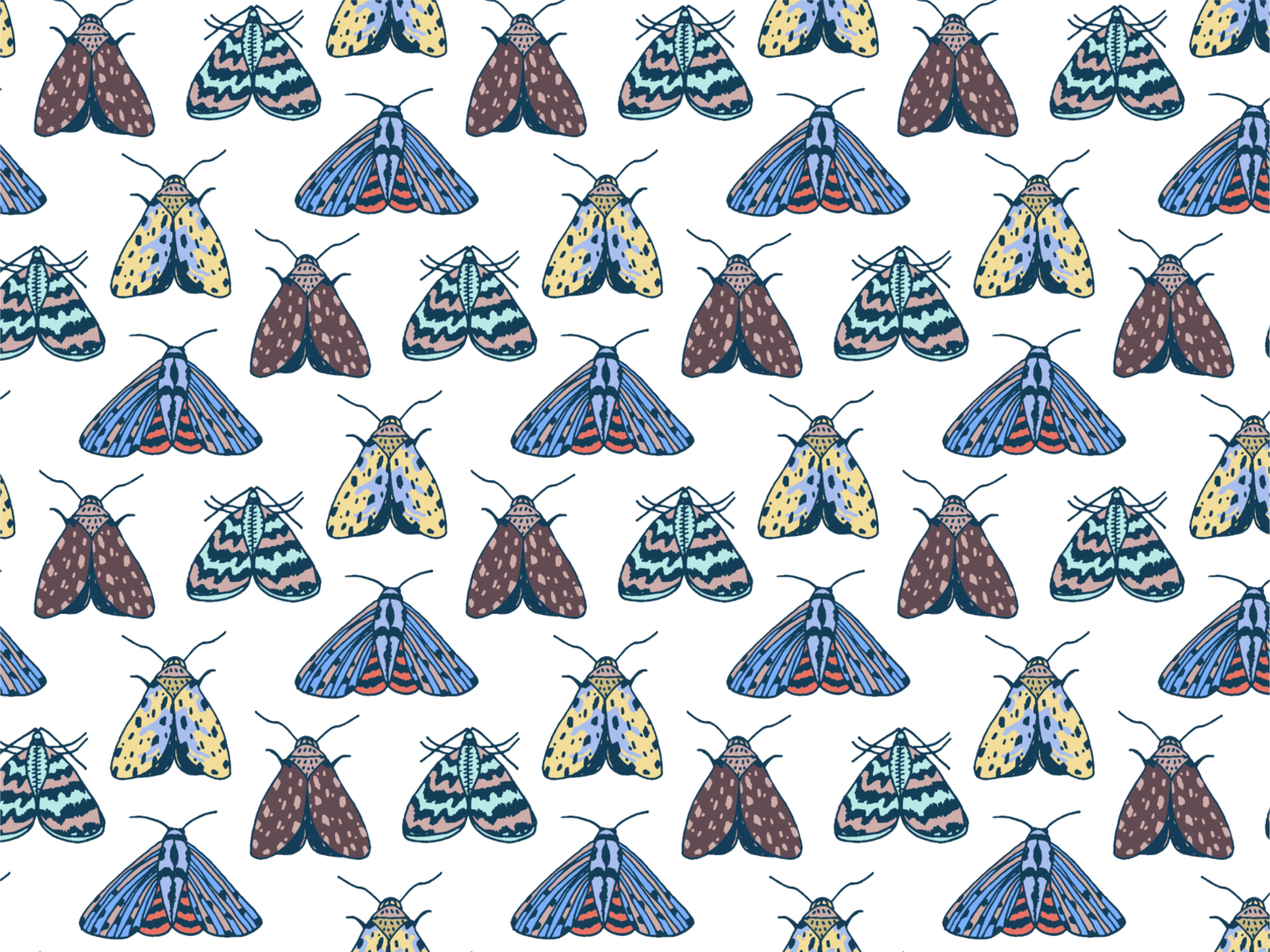 Moth Pattern by Milena Ljubojevic on Dribbble