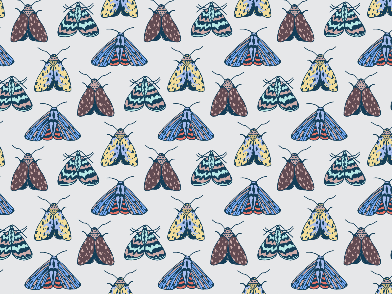 Moth Pattern by Milena Ljubojevic on Dribbble