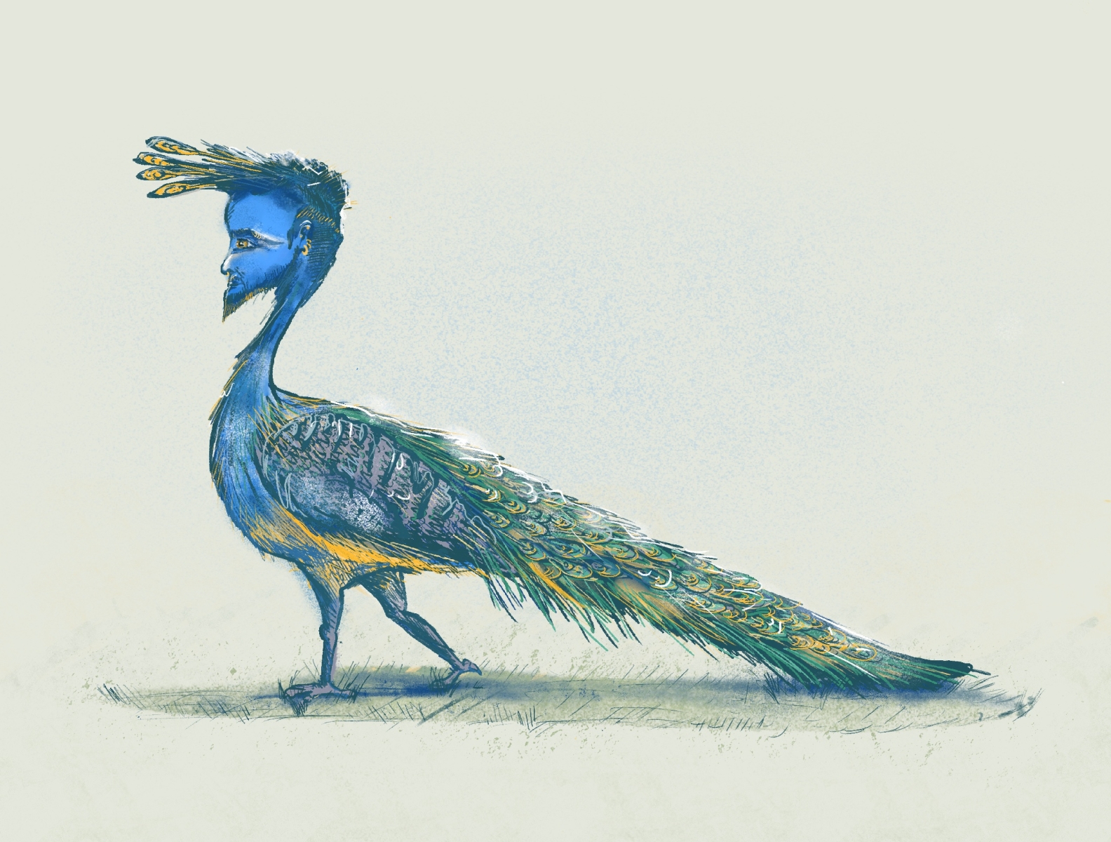 peacock travel man