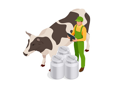 Isometric dairy cattle set. Farmer collecting milk at his dairy