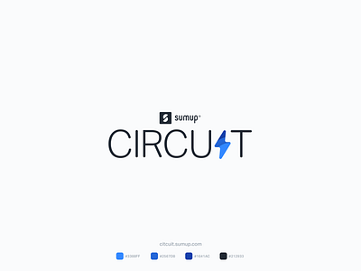 Introducing Circuit UI branding design design system fintech illustration lettering logo typography ui ux