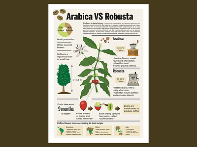Starbucks - coffee plant arabica botanic botanical illustration coffee coffee plant illustration illustrator infographic italy visualization