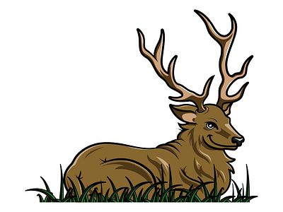 Oh Deer adobe illustrator animals deer drawing. illustration vector