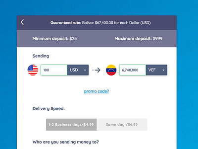 Sending Money app clean flat minimal money promo code sending transfer ui ux web