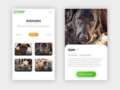 Animales Sin Hogar - UI Inspiration animal app app concept dogs donation interace ui ui app visual design