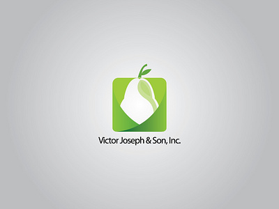 Victorjoseph Company logo brandidentity design illustration logo logo design