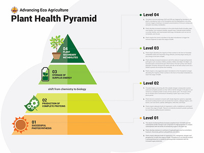 Infographic Pyramid concept