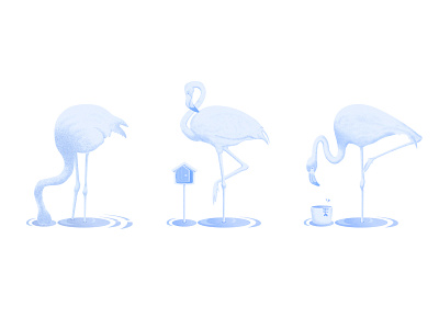 Flamingos animal design flamingo illustration