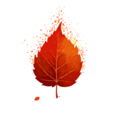 Ember Bloom