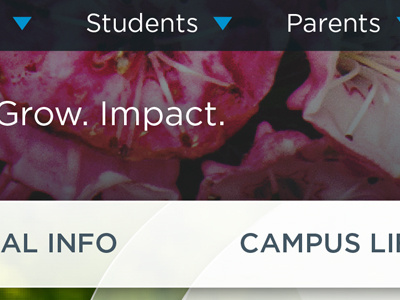 Dual Navigation Areas drop down education floral header navigation transparent university