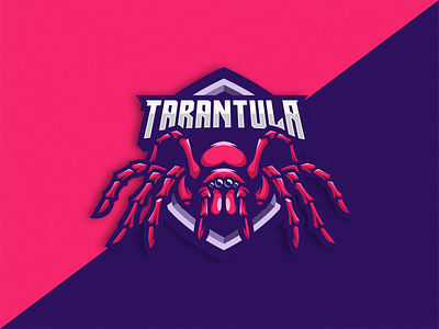 Tarantula Logo Icon design gaming icon illustration logo logodesign logoesport logogame logoicon logos symbol tarantula vector