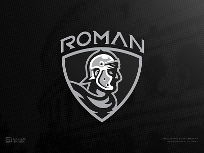 Roman Legionnaire Update