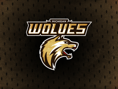 Michigan Wolves a11fl brown football michigan white wolves