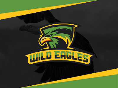 Wild Eagles branding eagles football nigerian soccer