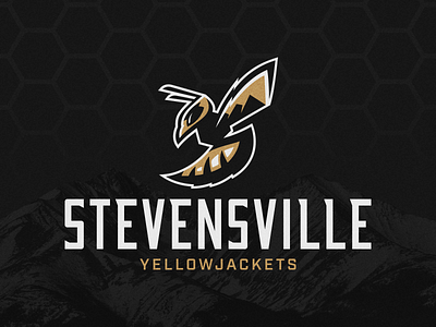 Stevensville Yellowjackets Brand ID (1/3)