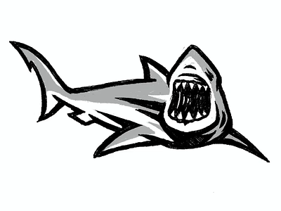 Shark Illustration | Sketch 01 aggressive bold brand designer branding digital sketch graphic designer illustration illustration process illustrator logo logo designer logo process process video shark shark illustration shark logo shark sketch sketch sketching timelapse video