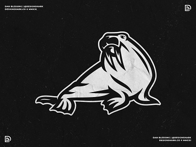 Walrus Mascot Logo bold clean graphic design illustration logo design mascot mascot design sports branding sports design sports illustration sports logo sports mascot vector walrus walrus illustration walrus mascot