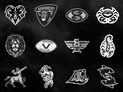 ZFL | All 12 Teams astrology badge logo bear branding design football icon identity design league lion logo logo design mascot logo ram shark sports branding sports logo typogaphy zodiac zodiac signs