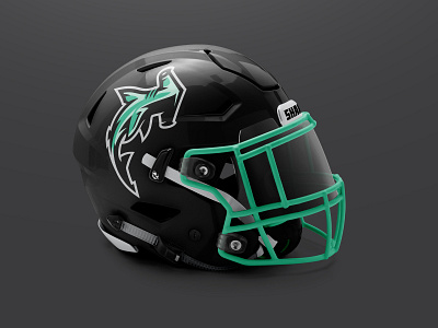 Dolphins concept helmet design with the throwback logo, metallic