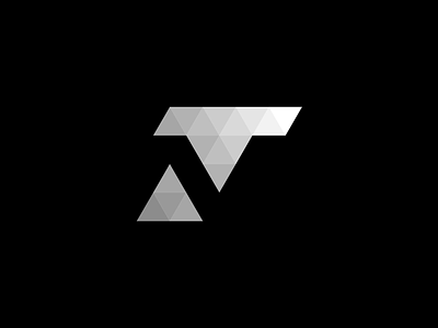 T + N logo