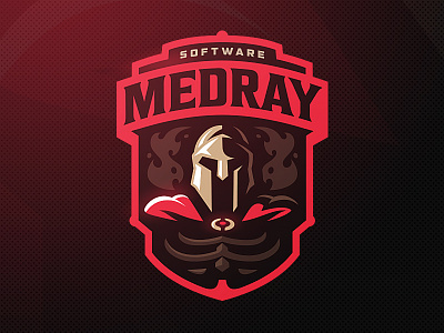 MedRay helmet logo medray skeleton spartan sports xray zerographics