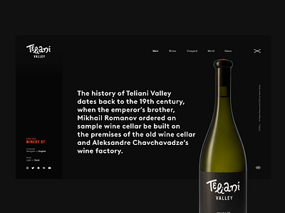 Wine Theme designs, themes, templates and downloadable graphic elements on  Dribbble