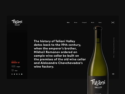 WINERY97 __ Teliani Valley alcohol bottle branding buy now concept dark theme grapes interface landing page layout design logo typography ui uidesign vine vineyard webdesign wine winery wineshop