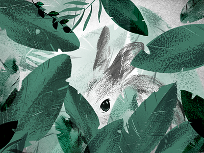 rabbit in forest