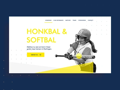 Softball Website design redesign ui website