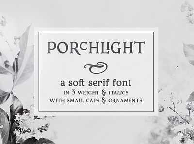 Porchlight serif font design font logo retro retro design serif font typography